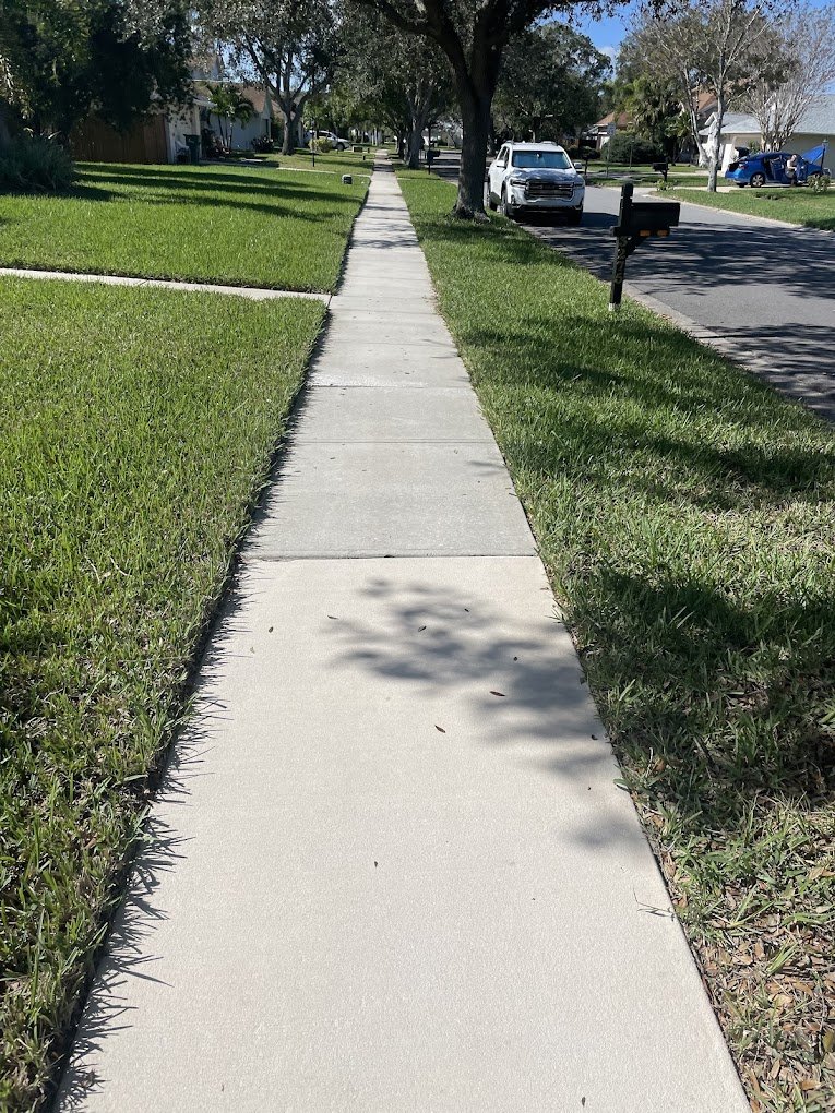 Clean residential sidewalk after professional driveway and sidewalk cleaning in Brevard and Volusia County by Suncoast Softwash.