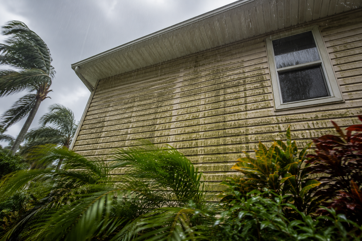 can pressure washing damage vinyl siding showing algae streaks and moisture buildup on vinyl siding during a rainy Florida day
